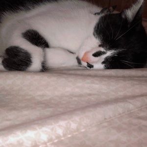 Meet your Posher, Jaylin